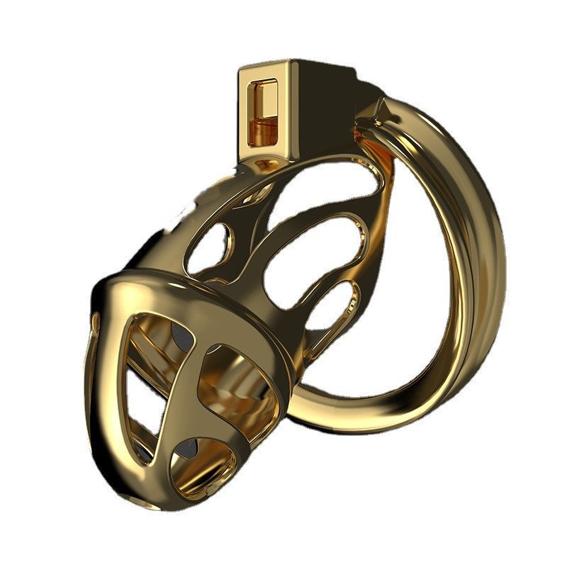 Male Fashion Metal Chastity Lock Toy - Image 4