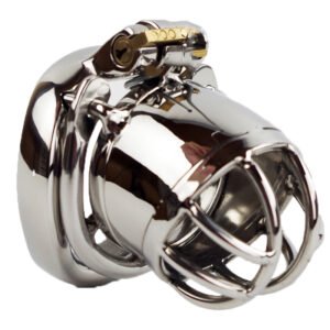 Stainless Steel Chastity Device