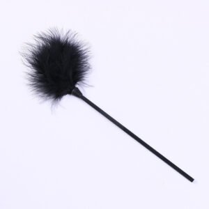 Supplies Feather Stick Toys