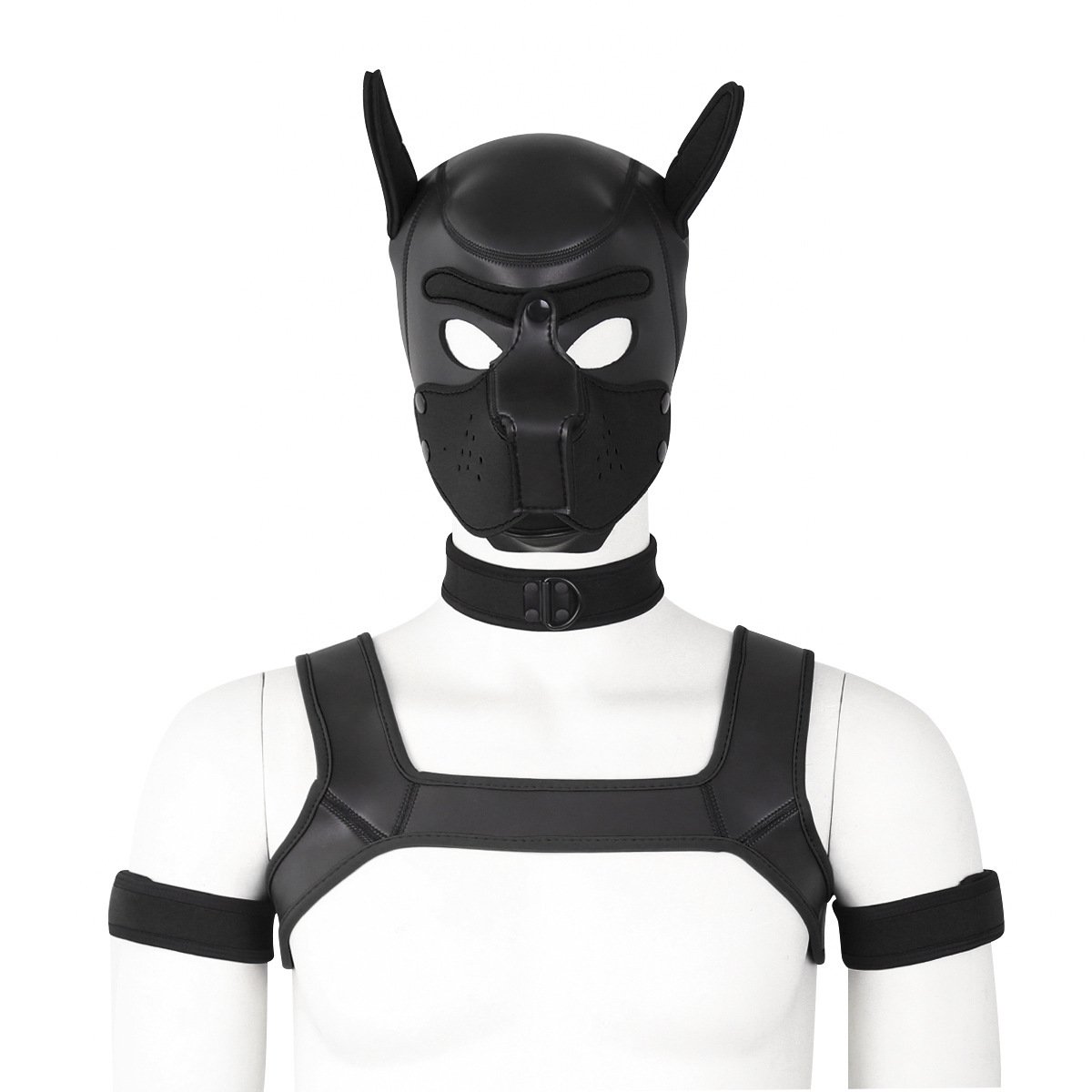Dog Headgear, Armband, Chest Strap, & Neck Scarf - Full Set - Image 2