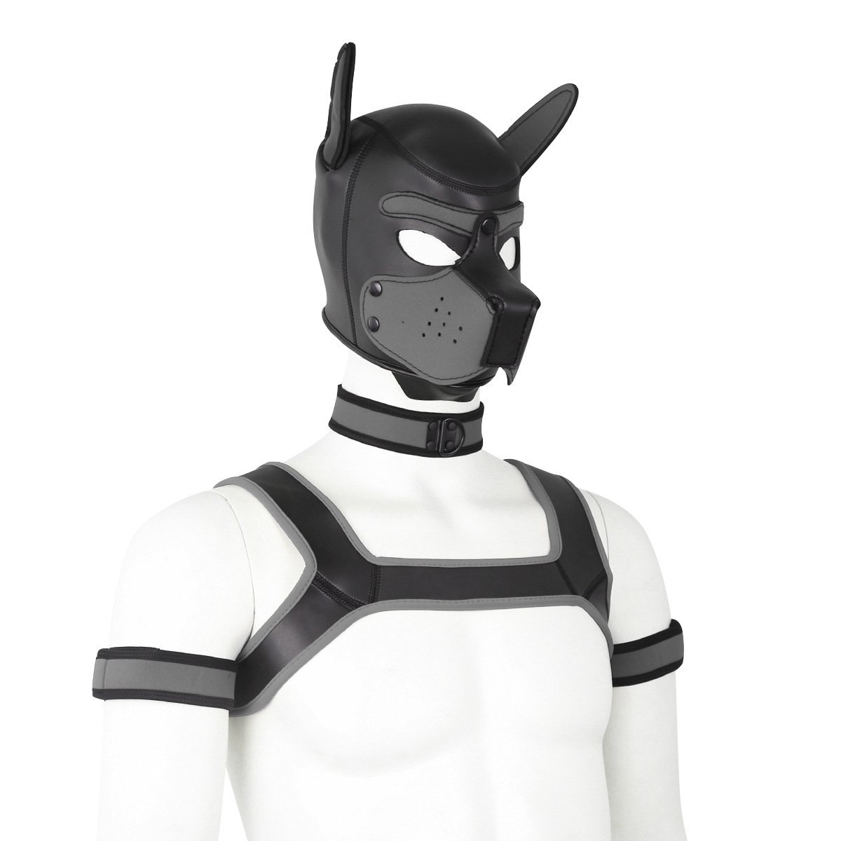 Dog Headgear, Armband, Chest Strap, & Neck Scarf - Full Set - Image 4
