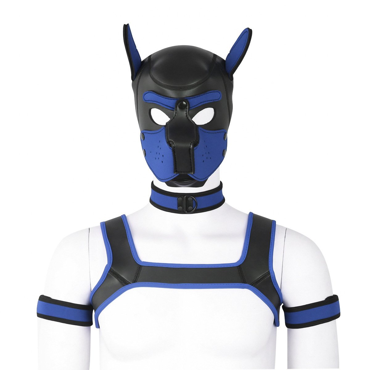 Dog Headgear, Armband, Chest Strap, & Neck Scarf - Full Set - Image 3